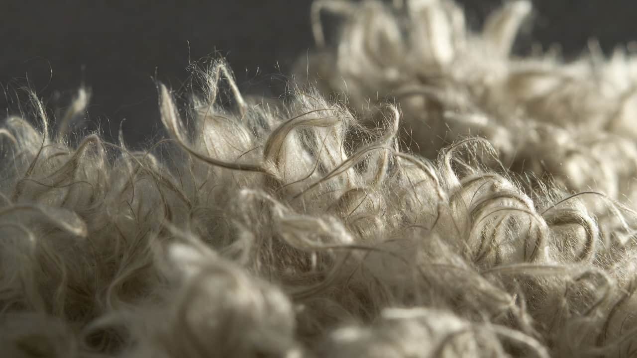 Cover Image for Why Is Mohair So Fuzzy? Fiber Structure and What Causes the Fluff